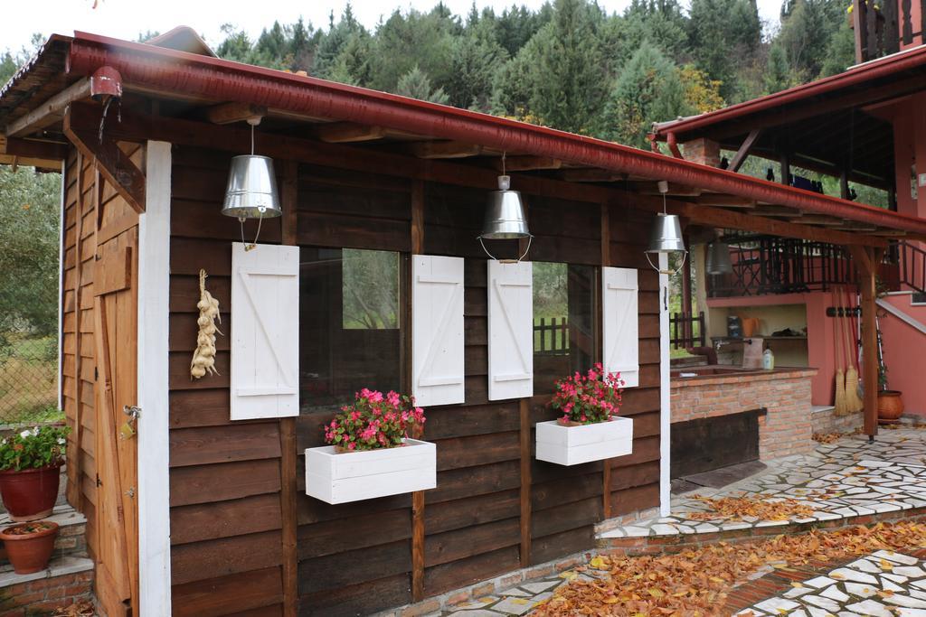 Traditional Guesthouse Tríkala Dış mekan fotoğraf