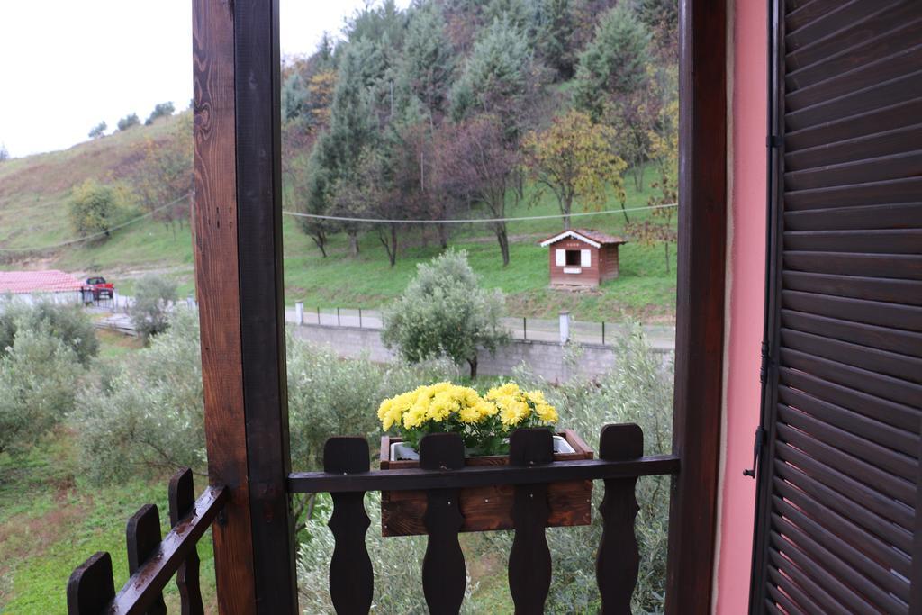 Traditional Guesthouse Tríkala Dış mekan fotoğraf