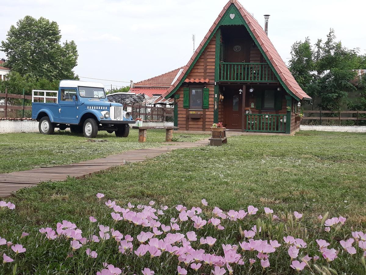 Traditional Guesthouse Tríkala Dış mekan fotoğraf